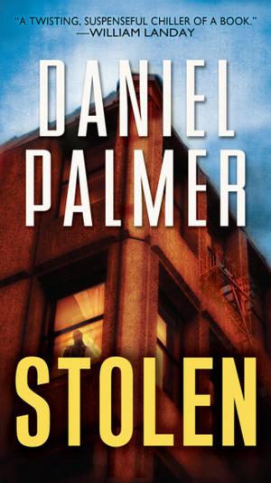 Cover of the book Stolen by Drew Ferguson