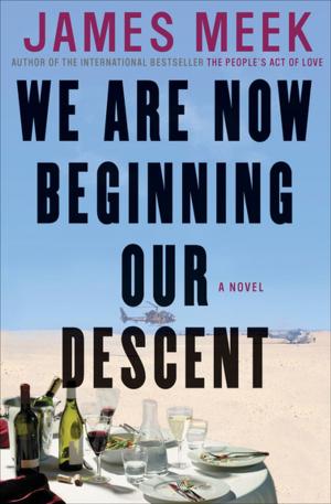 Cover of the book We Are Now Beginning Our Descent by Robert Schenkkan