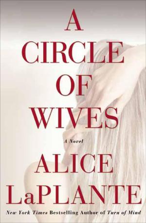 Cover of the book A Circle of Wives by Kiara Brinkman