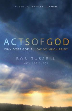 Cover of the book Acts of God by Paul Hutchens