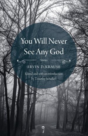 Cover of the book You Will Never See Any God by David Davis