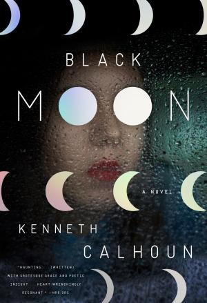 Cover of the book Black Moon by Gaspard-Marie Janvier