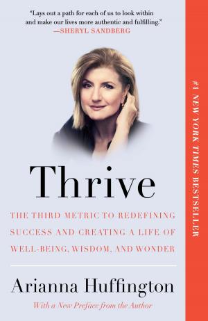 Cover of the book Thrive by Dudley Lynch