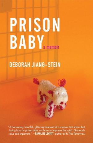 Cover of the book Prison Baby by Donniel Hartman