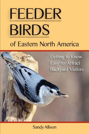 Cover of the book Feeder Birds of Eastern North America by Julie Feinstein