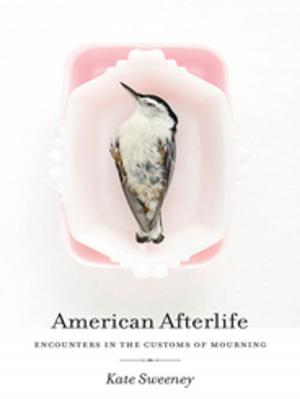 Cover of the book American Afterlife by Seung-Whan Choi, Scott Jones, William Keller