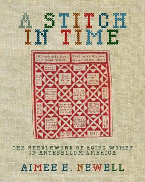 Cover of the book A Stitch in Time by Anna D. Jaroszyńska-Kirchmann