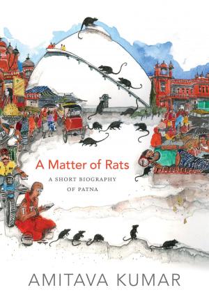 Cover of the book A Matter of Rats by Eddie Patin