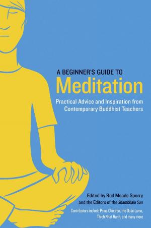Book cover of A Beginner's Guide to Meditation