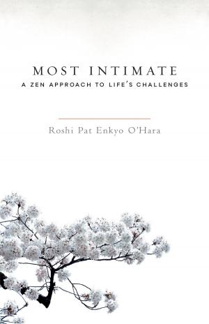 Cover of the book Most Intimate by Roger Lipsey