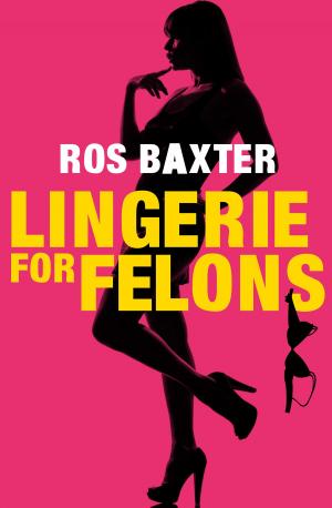 Cover of the book Lingerie For Felons by Lisa Ireland