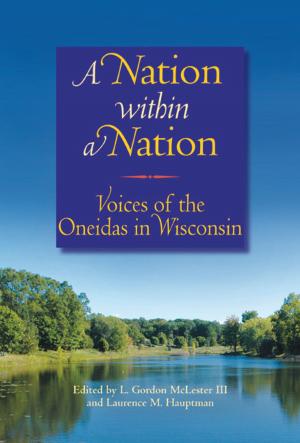 Cover of the book A Nation within a Nation by Martha Bergland, Paul G. Hayes