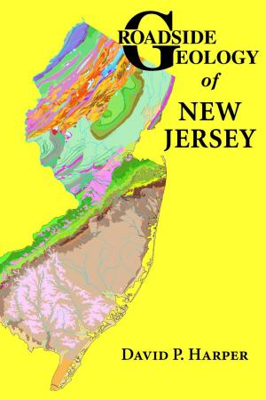 Cover of the book Roadside Geology of New Jersey by Richard W. Ojakangas