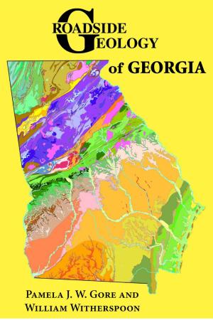 Cover of the book Roadside Geology of Georgia by Don Blevins