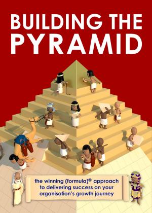 Book cover of Building the Pyramid