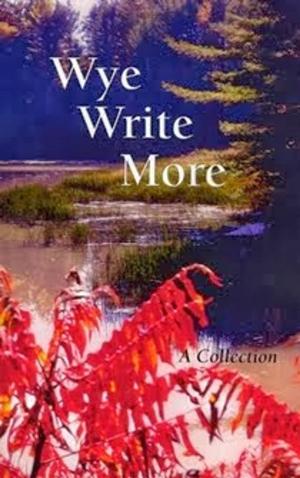 Book cover of Wye Write More