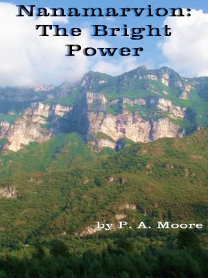 Book cover of Nanamarvion-The Bright Power