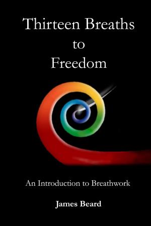 Cover of the book Thirteen Breaths To Freedom by William Allan