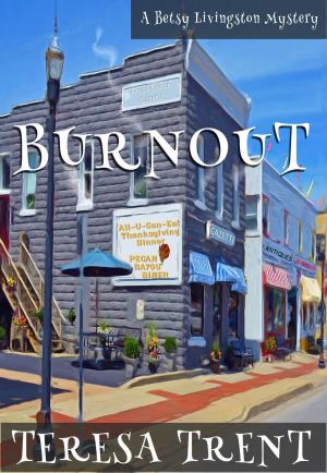 Cover of the book Burnout by Marie Celine
