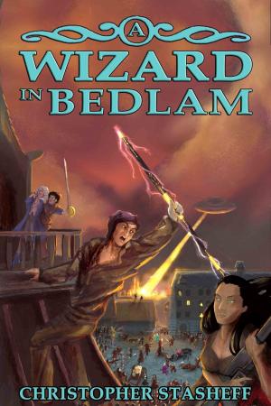 Cover of the book A Wizard in Bedlam by Samuel Cornruff