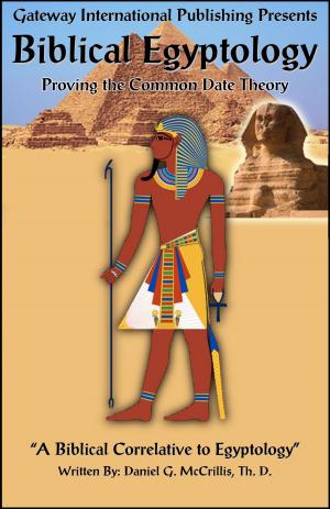 bigCover of the book Biblical Egyptology by 