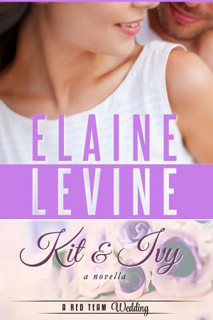 Book cover of Kit and Ivy: A Red Team Wedding Novella
