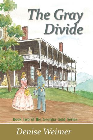 Cover of the book The Gray Divide: Book Two of the Georgia Gold Series by Denise Weimer
