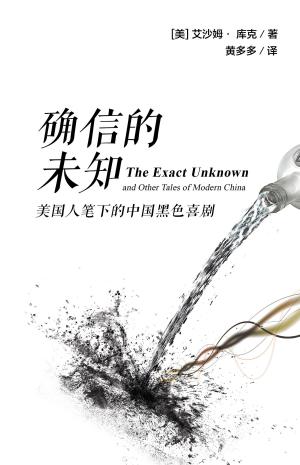 Book cover of 确信的未知:美国人笔下的中国黑色喜剧 (The Exact Unknown and Other Tales of Modern China, simplified Chinese edition)