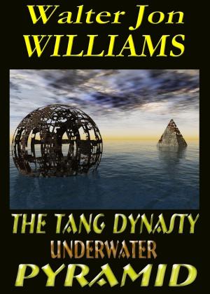 Book cover of The Tang Dynasty Underwater Pyramid
