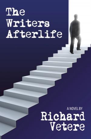 Cover of the book The Writers Afterlife by Lawrence Block, Reed Farrel Coleman, Brendan DuBois, Susanna Calkins, John D. MacDonald