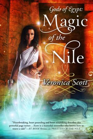 Cover of the book Magic of the Nile by Rob Wolf