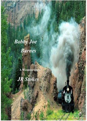 Cover of the book Bobby Joe Barnes by Daisi Malone