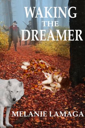 bigCover of the book Waking the Dreamer by 