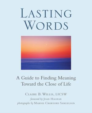 Cover of the book Lasting Words by Greg Delanty, John Elder