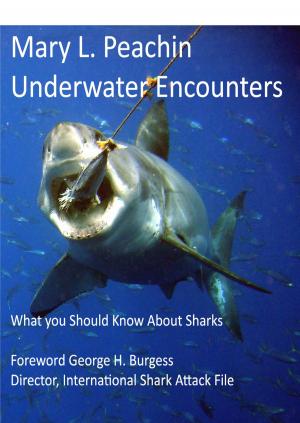 Book cover of Underwater Encounters