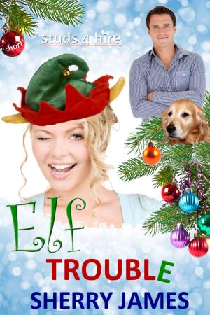 Book cover of Elf Trouble A Studs 4 Hire Short