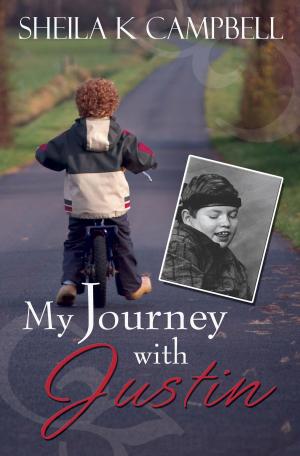 Cover of the book My Journey with Justin by Nancy Ferguson