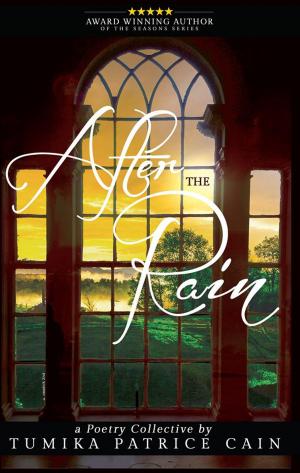 Cover of the book After the Rain...A Poetry Collective by Iniejah Allen