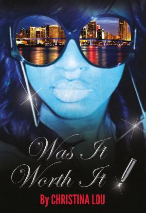 Cover of the book WAS IT WORTH IT! by Megan Chance