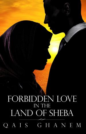 Book cover of Forbidden Love in the Land of Sheba