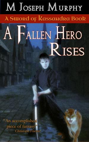 Book cover of A Fallen Hero Rises