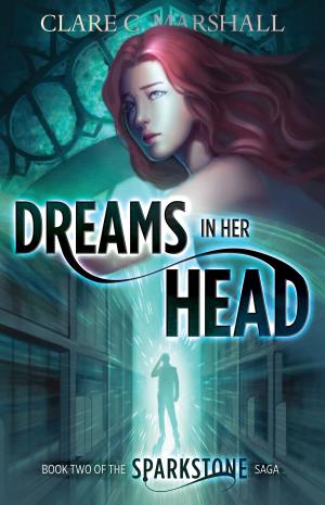 Cover of Dreams In Her Head
