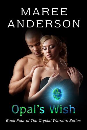 Cover of the book Opal's Wish by Graham Storrs