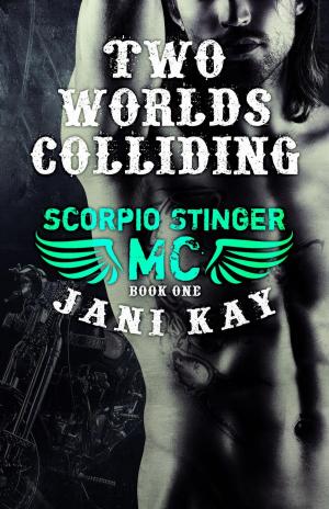 Cover of the book Two Worlds Colliding by Jani Kay