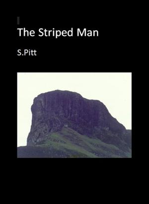 Book cover of The Striped Man