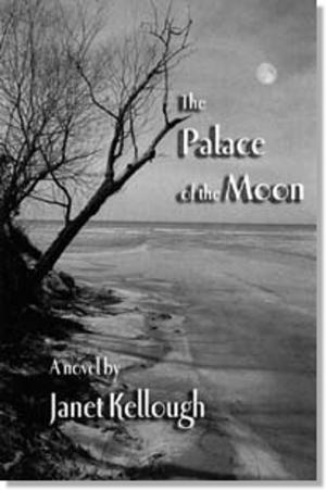 Book cover of The Palace of the Moon