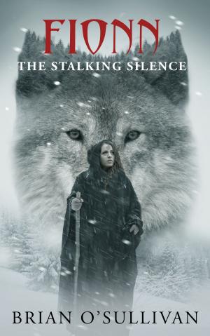 Cover of the book Fionn: The Stalking Silence by Anthony E. Southby
