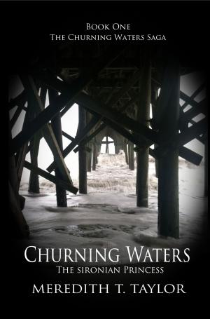 Cover of the book Churning Waters by J West Hardin