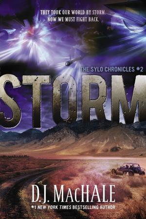 Cover of the book Storm by Robert Byrd