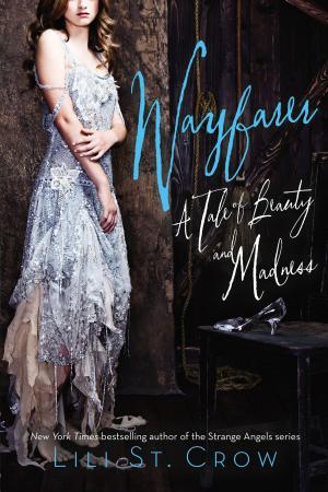 Cover of the book Wayfarer by Nancy Krulik